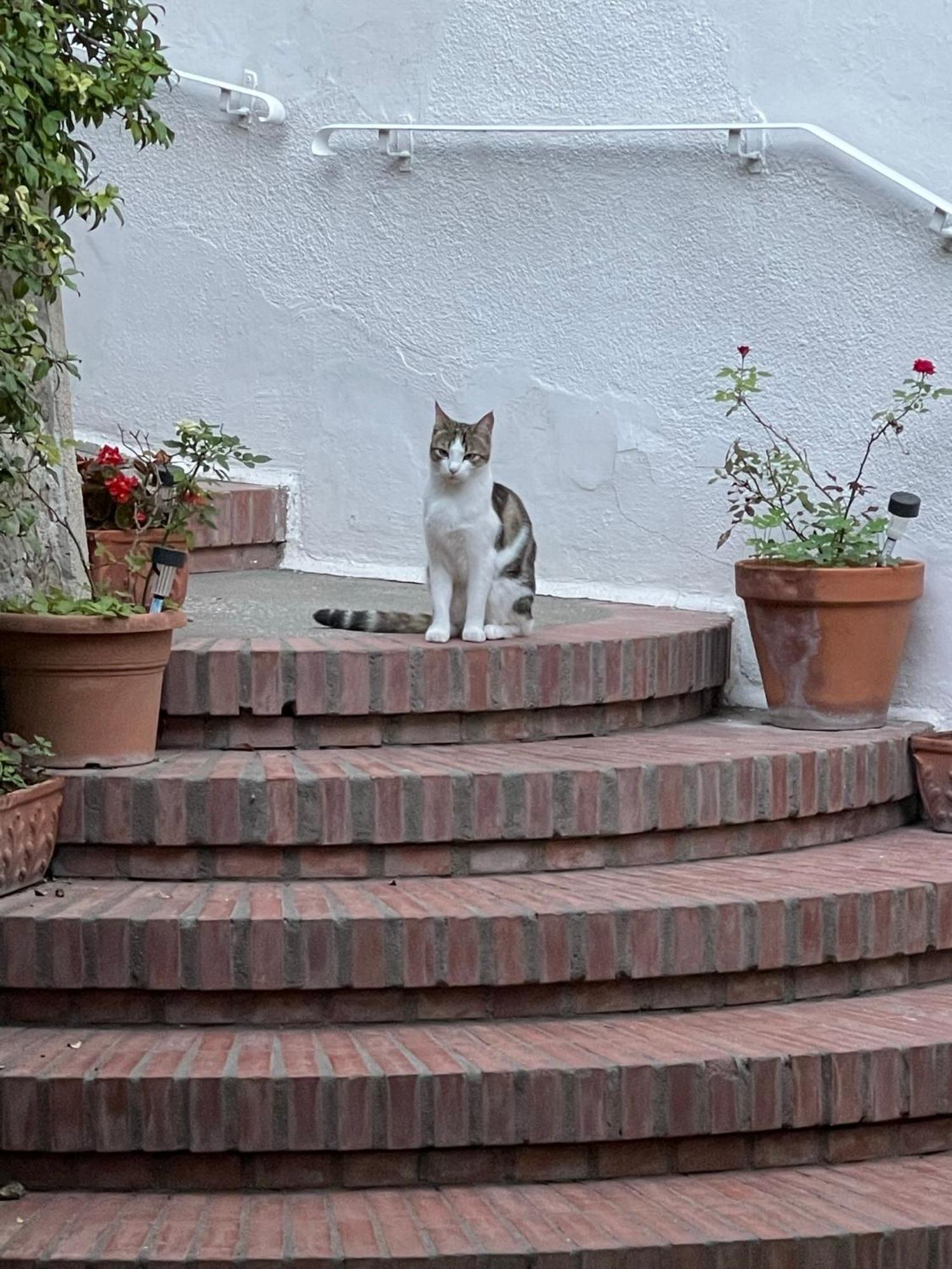 La Musa Frühstückspension *